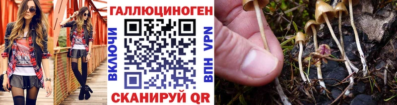 сайты даркнета официальный сайт  Няндома  Псилоцибиновые грибы прущие грибы 