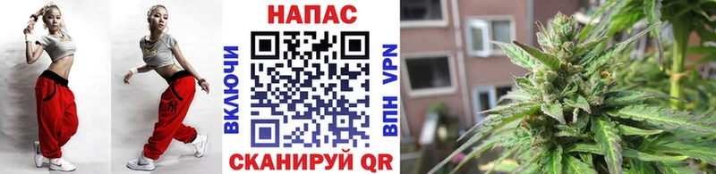 Канабис конопля  наркотики  Няндома 